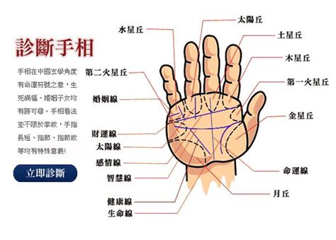 手指四道纹|最全最罕见的手相掌纹图解！